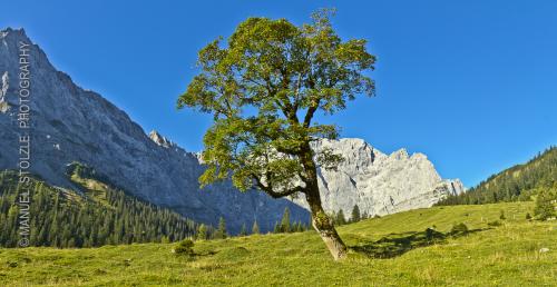 Berge-IMG 9905-2 6-2