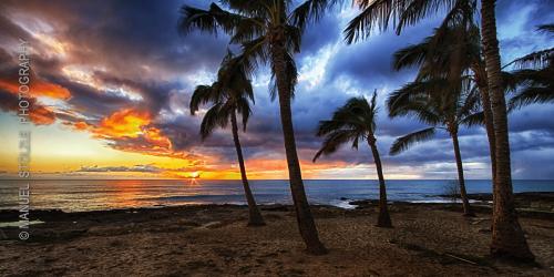 Hawaii-IMG 5380 HDR-Edit-Edit